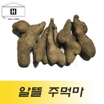 국산 주먹마 파지마 5kg 생마 알뜰마 마쥬스 마전 마요구르트 마우유, 1개