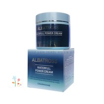 참존 알바트로스 워터풀 파워 크림 100ml, 1