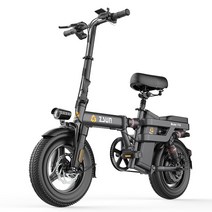 스프링안장전기자전거 zsun 서스펜션 미니벨로 2인용, 상세이페이지 참고, 충격흡수고속모터10AH전기약40KM48V