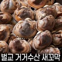 벌교 거거수산의 실패 없는 득량만 새꼬막 2kg 단위, 새꼬막 상품 3kg (20mm이상/무침or비빔밥용)
