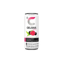 셀시어스 라즈베리 아사이 그린티 325ml 12캔, 상세페이지 참조, 상세페이지 참조