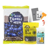 화분월드 정한 블루베리 (최적의 배양토), 정한블루베리 배양토 12리터