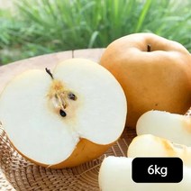 다복 다복 가정용 나주배 6kg, 단일옵션