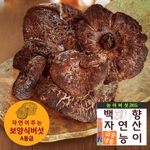[백향송이]자연향가득 자연산A등급 냉동 능이버섯 2kg, 능이버섯 A등급 2kg