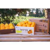 땅땅과일 산지직송 제주 천혜향 15브릭스 천에향 제주천혜향3kg 5kg 박스 무게 포함, 1개, [특가] 천혜향/3kg/중소과/20~25과
