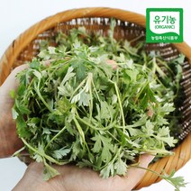 친환경팔도 [산지직송] 함평 유기농 생 쑥 150g, 단품