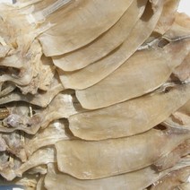 건어물천국 당일바리 마른 오징어, 5마리, 375g