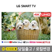LG 75인치 TV 4K UHD 스마트 티비 TV 75UN7070 리퍼 /, 2. 수도권역 벽걸이 +상하브라켓