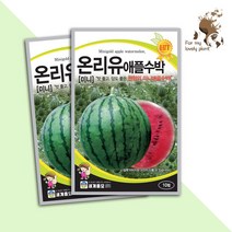 온리유애플수박 10립 세계종묘 과채류 씨앗
