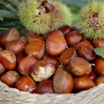 햇밤 옥광밤 삼조생 1kg 순창 칼집 알밤 국산 산지직송, 1봉, 옥광밤 2kg