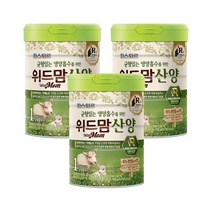 위드맘 산양 1단계 3캔 유산균 신바이오틱스 아기분유 영유아식 1세트, 6세트