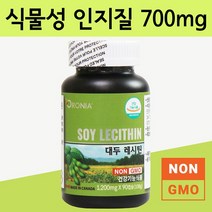 대두 레시틴 인지질 포스파티딜콜린 두뇌 영양제, 1병, 본제품