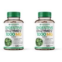 Wholesome Wellness Digestive Enzymes 홀썸 웰네스 다이제티브 효소 1000mg 180베지터블 캡슐 2팩