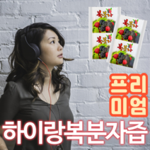 국산 약재용 복분자즙 복분자진액 3배 더진한 프리미엄, 100포, 100ml