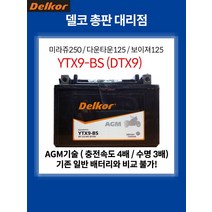 베스비 배터리 델코 AGM YTX9-BS 8Ah