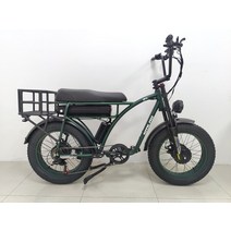 배달전기자전거 미니 가성비 면세 SMLRO 레트로 카고 전기 자전거 48V 1000W 2000W 듀얼 모터 Ebike 18AH M, 03 Green, 01 7