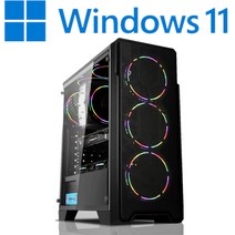 [왕가PC]WGCP 윈도우11 탑재 데스크탑 3D게임용 배그 풀옵션 게이밍 조립컴퓨터 롤 오버워치2 로스트아크 국민옵션부터 풀옵션 조립PC, 01. 기본형, 게이밍 02