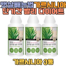 뱃살빼는법 단기간다이어트 살빨리빼는법 가르시니아 지방녹이는법 내장지방 복부지방 장건강 알로에 피부건강 옆구리살 30대 40대 50대 60대 먹는다이어트