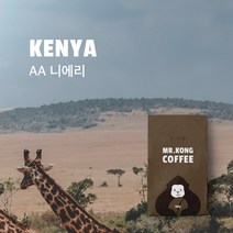 미스터콩 케냐 AA 니에리 (당일로스팅 원두커피), 더치커피, 500g