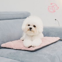 마이또 팻럽 반려동물 온열매트 전용커버, 블루 네모