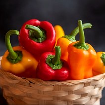 인피솔 햇 바나나 파프리카 국내산 고당도 롱스위트 최상급 빨강 노랑 혼합, 4kg