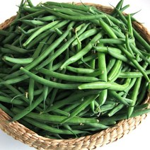 산정마을 산정마을 국내산 생 그린빈스 그린빈 300g 500g, 02_그린빈 500g