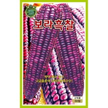 씨앗 보라흑찰옥수수 80립
