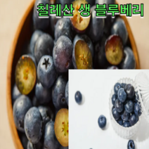 칠레산 생 블루베리 3팩 6팩 12팩 블루베리즙 생불르베리 냉동과일 냉동블루베리 패션후르츠, 블루베리 125g 12팩