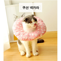 [켈리] 고양이 강아지 중성화수술 상처보호 쿠션넥카라, 핑크토끼