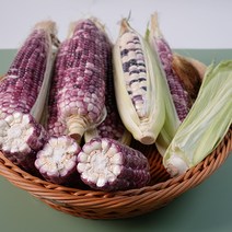 국내산 non GMO 맛보장 흑찰옥수수 특품 찰옥수수, 특품 냉동 찰옥수수 5팩
