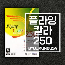 삼원 플라잉칼라250 칼라색지 OA용지 복사지 A4 80g 250매, 19.연녹색