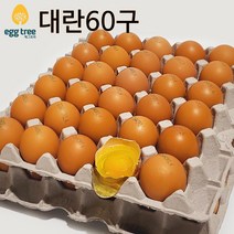 [에그트리농장] HACCP인증농가 오늘 낳은 싱싱한 달걀 생계란, 1개, 대란