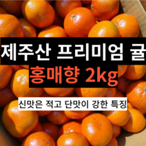 홍매향 프리미엄 제주 붉은귤 단맛 2kg