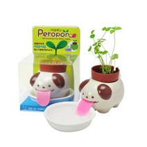 세이신 재배키트 식물키우기 텃밭세트 - 미니딸기 키우기, 9. 페로폰