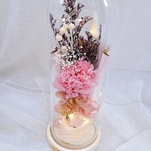 어버이날 카네이션 프리저브드 유리돔 led 유리돔 향기나는 프리저브드 플라워 집들이 생일선물 신혼부부 선물 프리저브드 생화 신혼집 인테리어, 유리돔대, 핑크