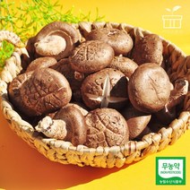 장흥 표고 버섯 생표고버섯 특품, 05. 장흥 생표고버섯 2kg 상, 1개