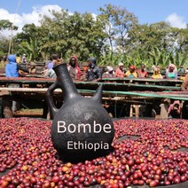 위트러스트 [위트러스트] 에티오피아 봄베 내추럴 500g Ethiopia Bombe Natural, 홀빈
