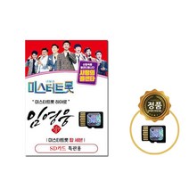 SD 노래칩 내일은 미스터트롯 히어로 임영웅 독집