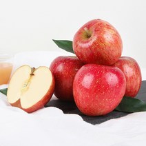 [초록자연] 부사 청송 사과 5kg (18-20과) 청송부사