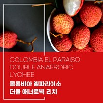 (커피생두) 266 콜롬비아 엘파라이소 더블 애너로빅 리치 1kg