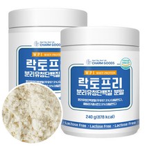 락토프리 분리유청 단백질 WPI 유당제거 프로틴 240g x 2통, 2개