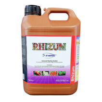 라이줌 5L 뿌리발근 착근 생육촉진