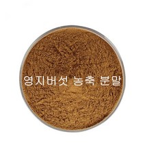 영지버섯 가루 추출물 농축 분말, 20:1, 1개, 200g