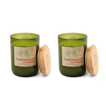 Paddywax Eco Green Candle 패디왁스 에코 그린 글래스 100%소이 왁스 캔들 석류 커런트 227g 2팩, 2개