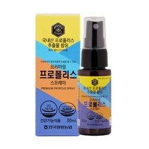 한국양봉농협 프로폴리스 스프레이 성인용, 단품, 단품