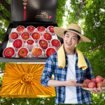 달모아 경북 사과 나주 신고배 과일선물세트 선물셋트 가정용 제수용 선물용 혼합 박스 명품 프리미엄 특품 3kg 4kg 5kg 7kg 8키로, <A>명작 과일선물세트2호, 1개” class=”wr-img”></a></div></p></div></p></div></p></div><div class=