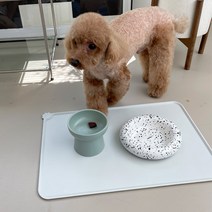잇치치 강아지 식기 매트 논슬립 실리콘, 1개, 식기매트 ( light gray )