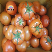 완숙토마토 2.5kg 5kg 소-중-대 단단하고 과즙많은 가정용 토마토, 04. 완숙토마토 중-대 5kg내외
