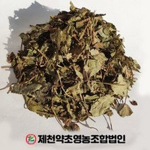 국산 어성초 500g 제천약초영농조합, 1, 500