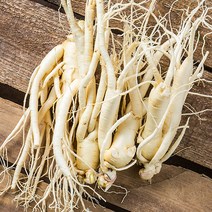 금산 인삼 350g 세척 수삼 인삼꽃주 삼계삼 난발삼 아카시아꿀 동강이 꿀절임 파삼 막삼 가정용삼 인삼차, 06_1I9X_세척삼계삼(소)375g